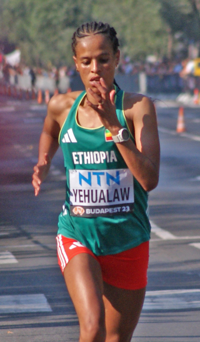 Yalemzerf Yehualaw
